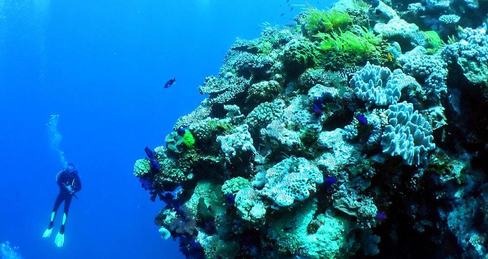 scuba diving