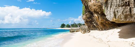 Tropical Island Vacation