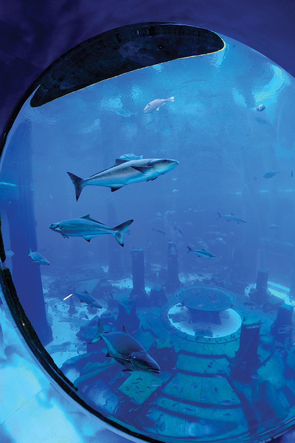 Atlantis Dubai Atlantis Kids club-Viewing Window of Ampitheatre