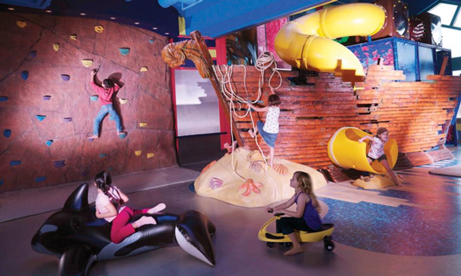 Climbing Wall