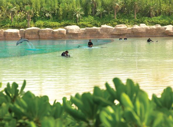 Atlantis Dubai Lagoon