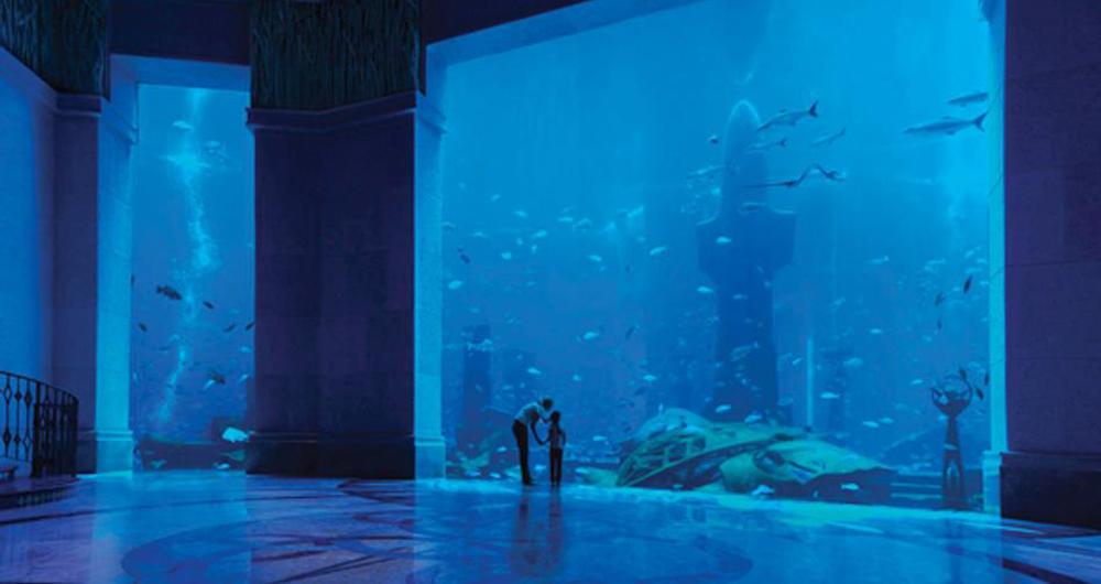 Ambassador Lagoon
