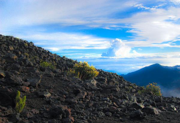 Affordable Kula Lodge