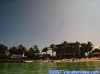 Ocean view