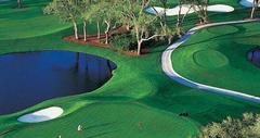 Golf Resort