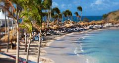 Caribbean Vacation
