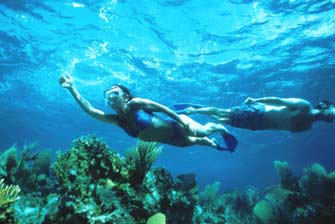Snorkeling