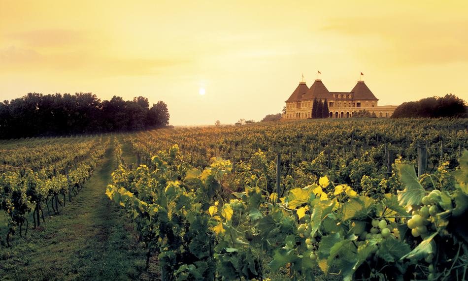 Vineyards