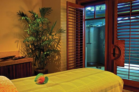 Spa Shower