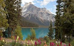 Emerald Lake Lodge