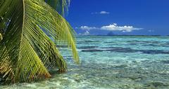 Vahine Island