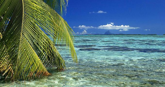 Vahine Island view from the water