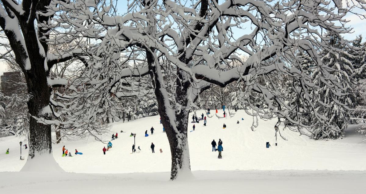 Central Park
