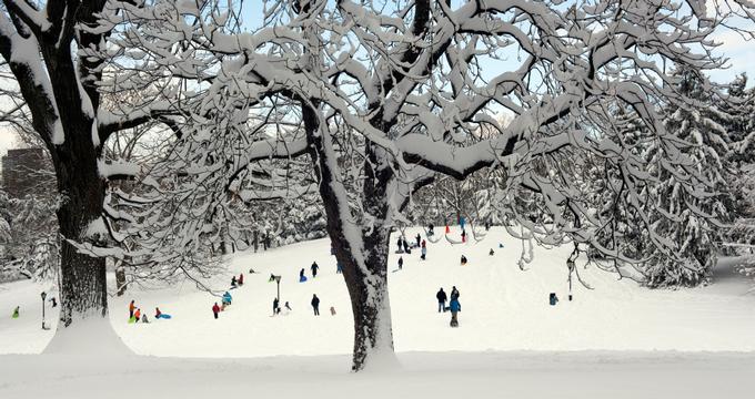 Central Park