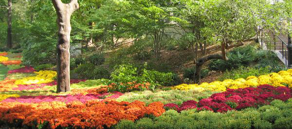 Colorful gardens