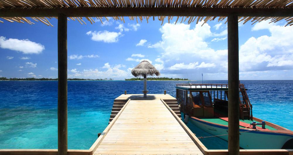 Island Honeymoon