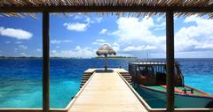 Island Honeymoon