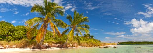 Breakers Palm Beach