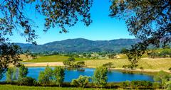 Wine country in Spain