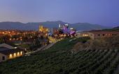 Wine country in Spain